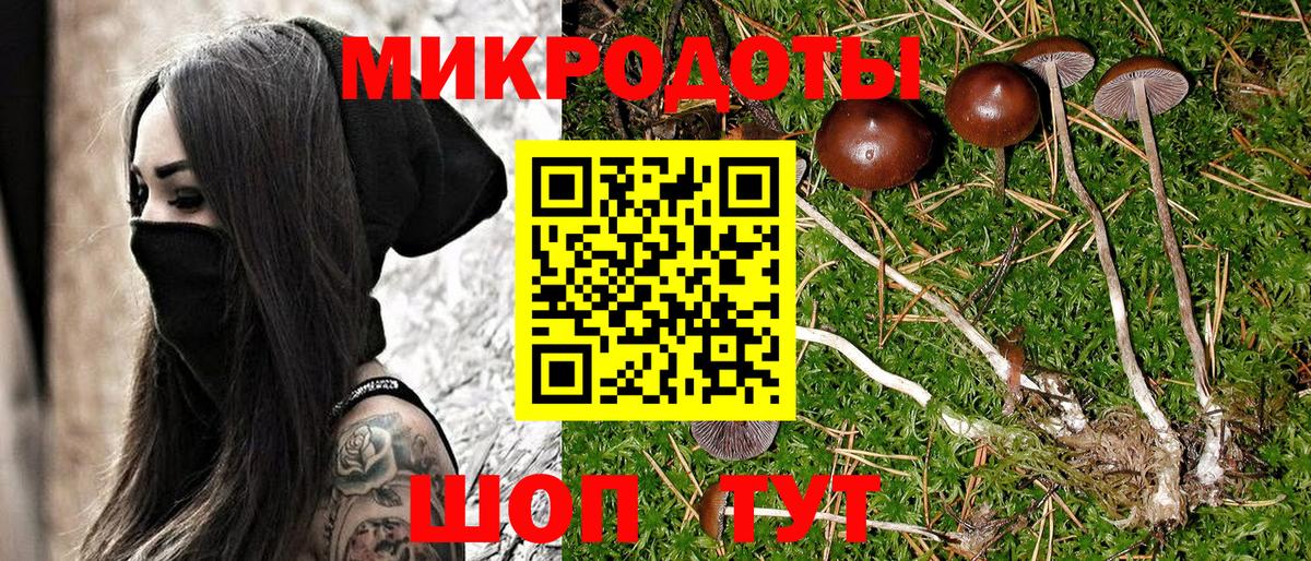Орехово-Зуево  Псилоцибиновые грибы Magic Shrooms  Вход с VPN  Псилоцибиновые грибы мухоморы 