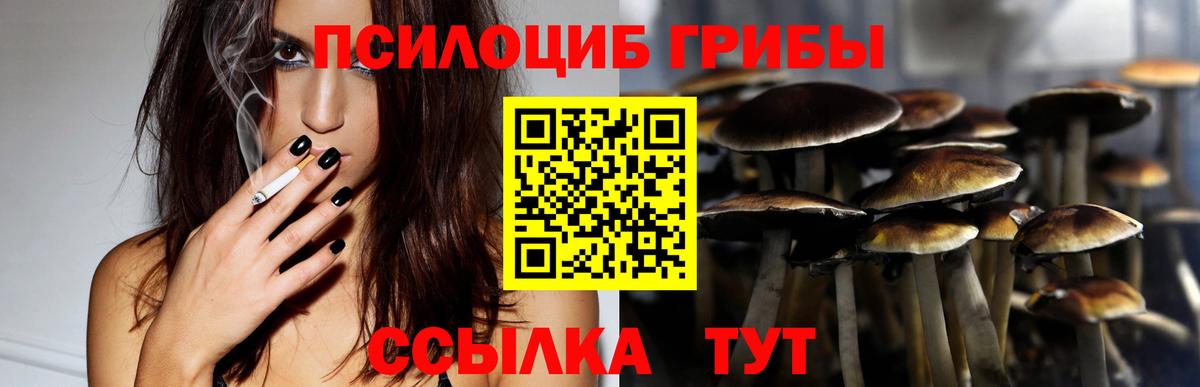 Псилоцибиновые грибы MAGIC MUSHROOMS Орехово-Зуево